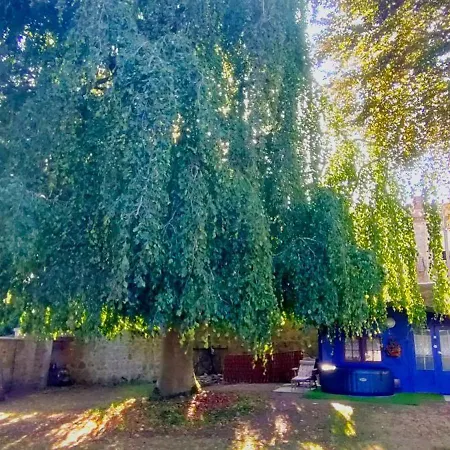 Chez Martine Et Philippe En Velay Saint-Didier-en-Velay