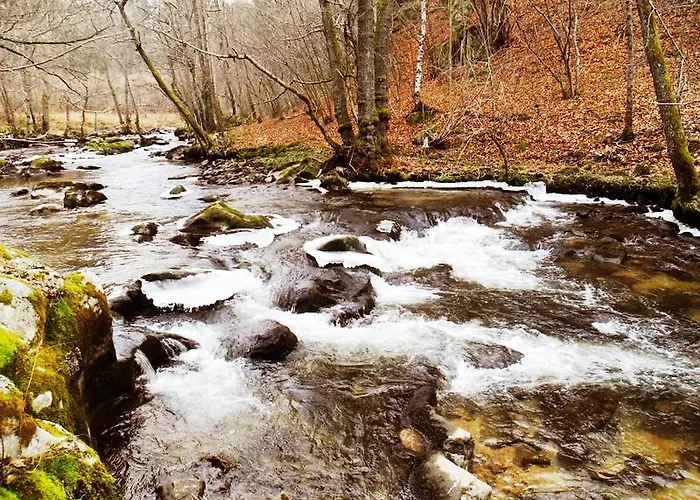 Couette-café Chez Martine Et Philippe En Velay 4*